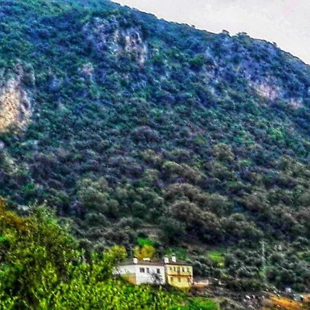 Гостьовий будинок El Antiguo Molino Ель-Боске Екстер'єр фото