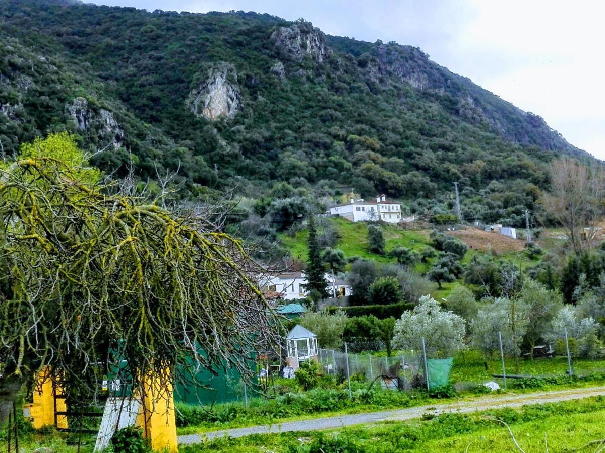 Гостьовий будинок El Antiguo Molino Ель-Боске Екстер'єр фото
